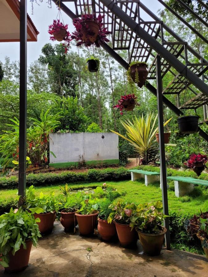 Bluebell Homestay Chikmagalūr Exterior foto